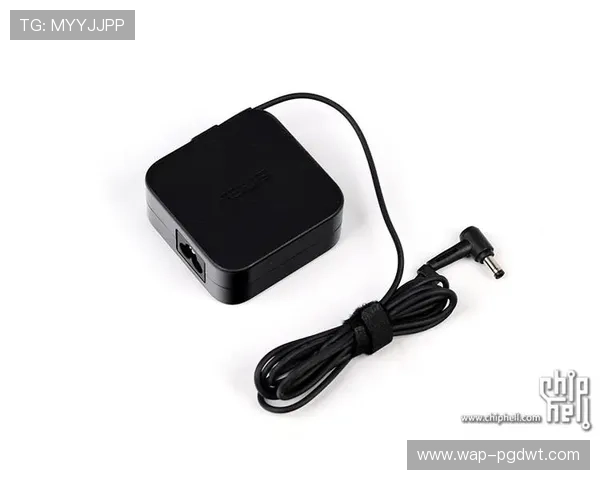 PG官网官方网站2024年最新更新内容详解与用户体验提升 PG官网官方网站2024年最新更新内容详解与用户体验提升