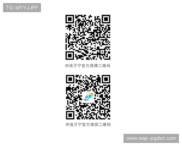 PG体育平台最新赛事资讯全面解析助你掌握第一手比赛动态